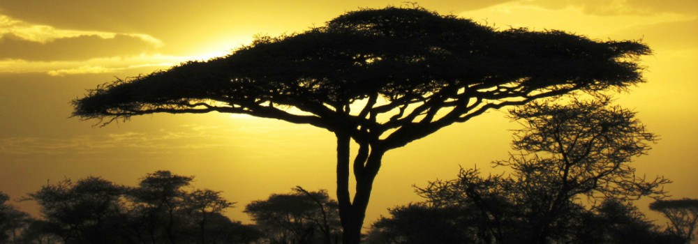 RTanzania-2012-791-2-1000x350